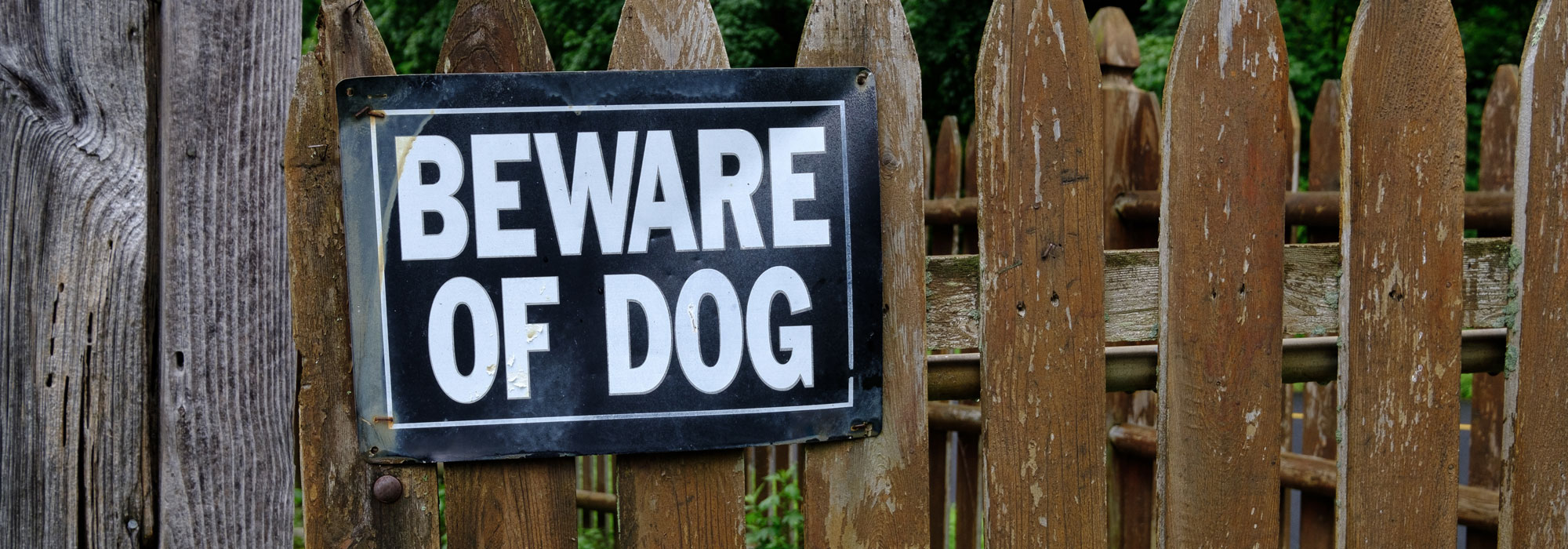 Beware Of Dog Sign